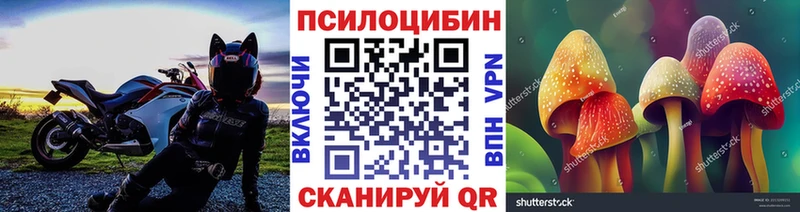 наркотики  Кызыл  Галлюциногенные грибы MAGIC MUSHROOMS 